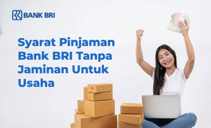 Cara mengajukan pinjaman KUR BRI online 2023 dan persyaratannya