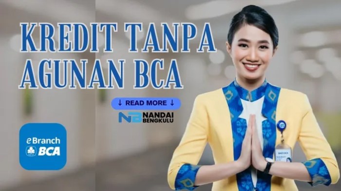 Prosedur pengajuan KTA online BCA dengan proses cepat