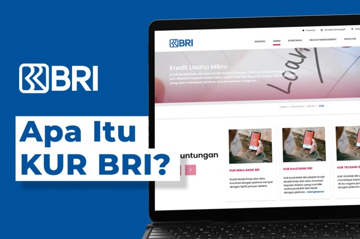 Program KUR BRI 2023 untuk UMKM dan syaratnya