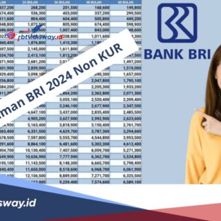 Pinjaman online bri dengan bunga rendah 2025