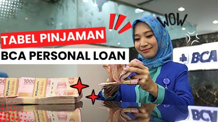 Berapa jumlah pinjaman online BCA langsung cair dengan KTP