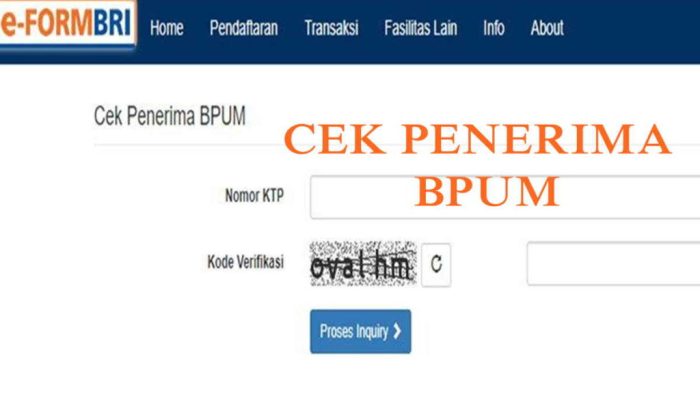 Link eform BNI untuk pinjaman BPUM 2023 dan panduannya