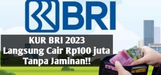 Perbedaan pinjaman KUR BRI dan pinjaman bank lainnya di 2023
