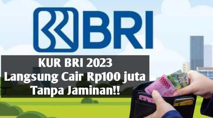 Perbedaan pinjaman KUR BRI dan pinjaman bank lainnya di 2023