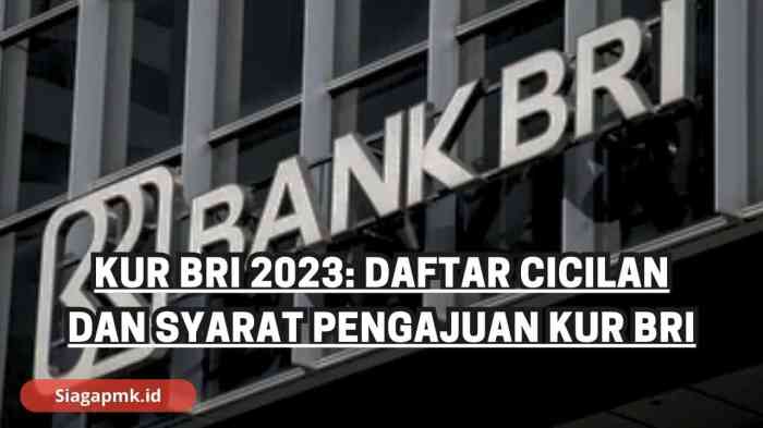 Program KUR BRI 2023 untuk UMKM dan syaratnya