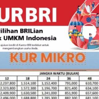 Program KUR BRI 2023 untuk UMKM dan syaratnya