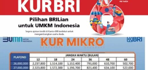 Program KUR BRI 2023 untuk UMKM dan syaratnya