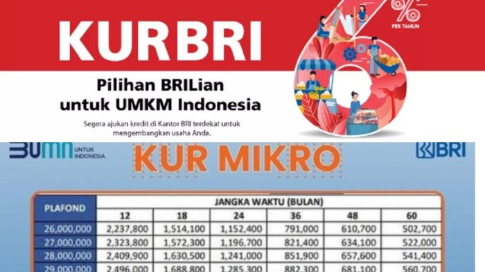 Program KUR BRI 2023 untuk UMKM dan syaratnya