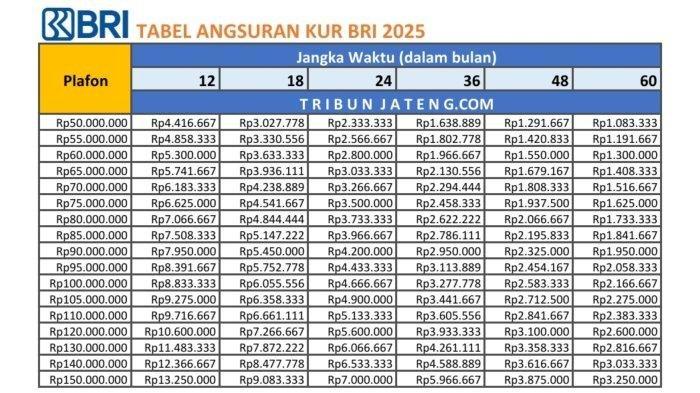 Syarat pengajuan kur bri 2025 untuk usaha kecil