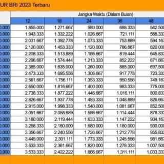 Arti KUR BRI 2025 50 juta untuk usaha SME dan syaratnya