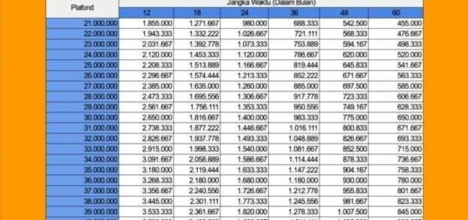 Arti KUR BRI 2025 50 juta untuk usaha SME dan syaratnya