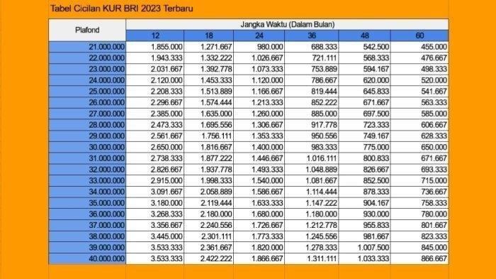 Arti KUR BRI 2025 50 juta untuk usaha SME dan syaratnya