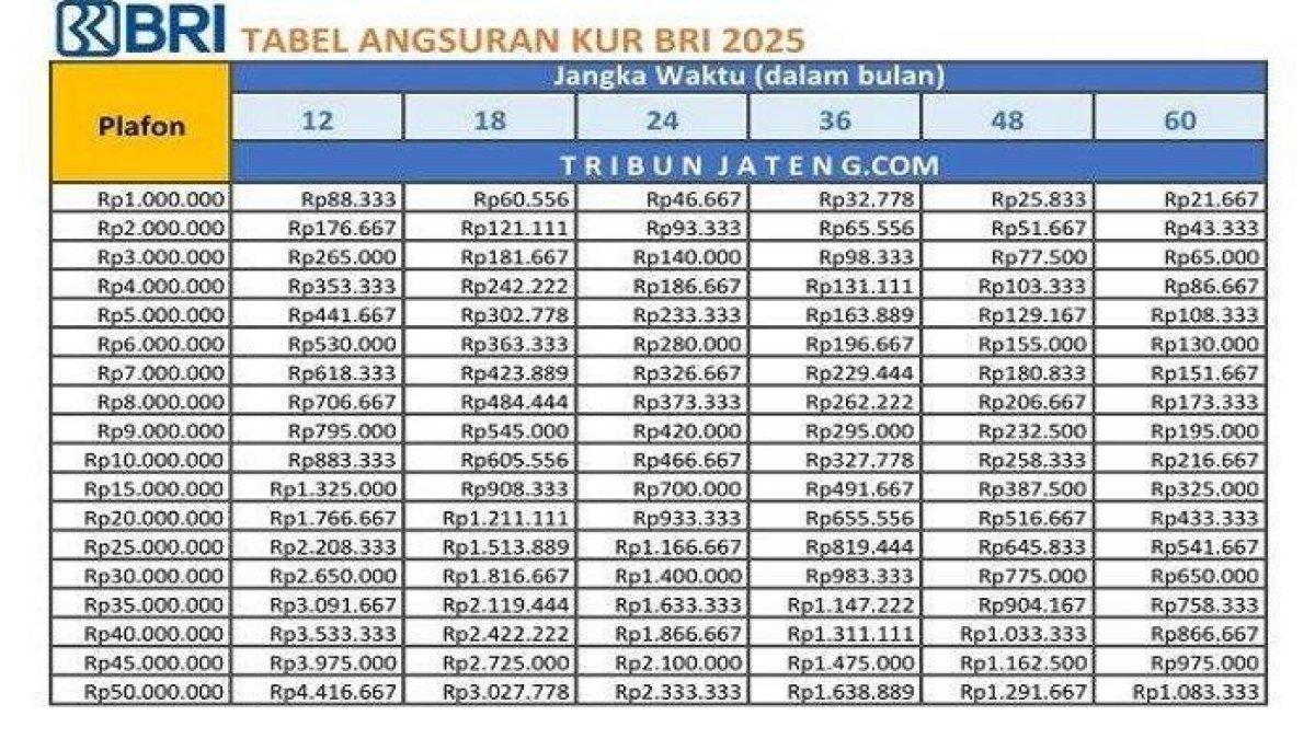 Informasi detail KUR BRI 2022 untuk pengajuan pinjaman