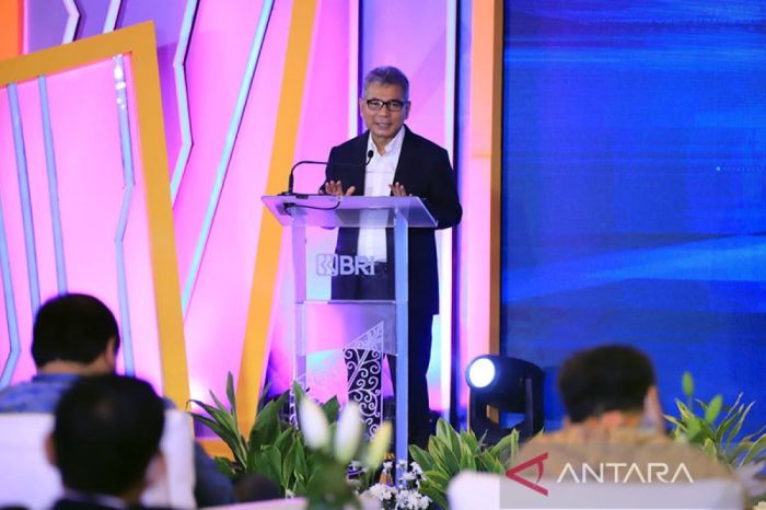 Alur pengajuan pinjaman BRI untuk modal usaha UMKM