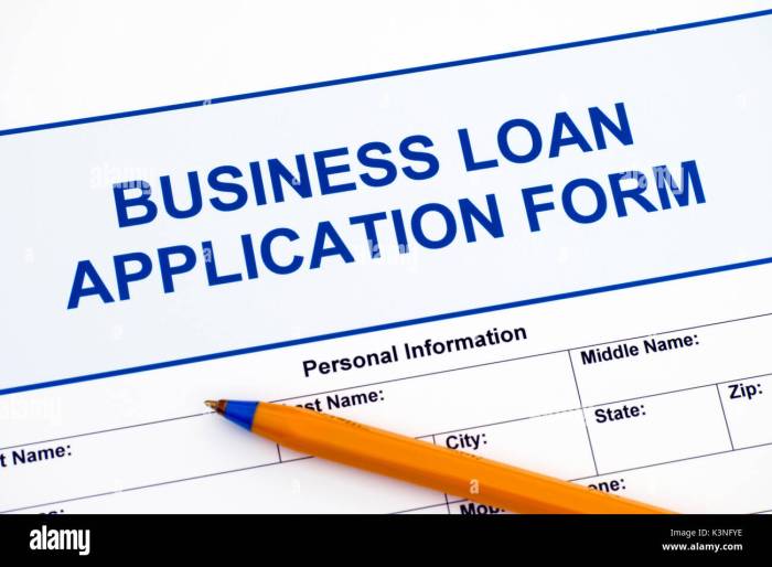 Business Loan Application Form Formulir aplikasi pinjaman BNI untuk usaha kecil dan menengah 2021