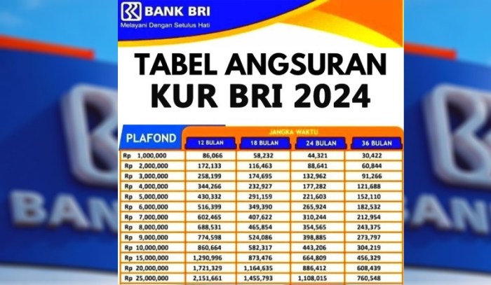 Pengertian debet dan kredit dalam transaksi pinjaman KUR BRI online