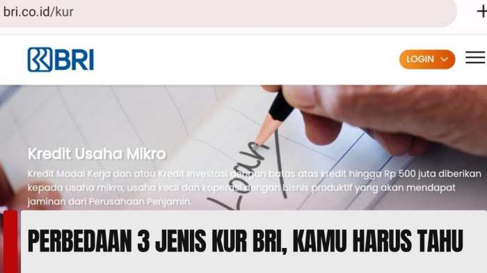 Perbedaan simulasi KUR BRI dengan KUR lainnya