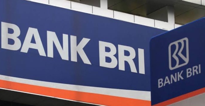 Review berita terbaru mengenai pinjaman KUR BRI 2023 dan trennya