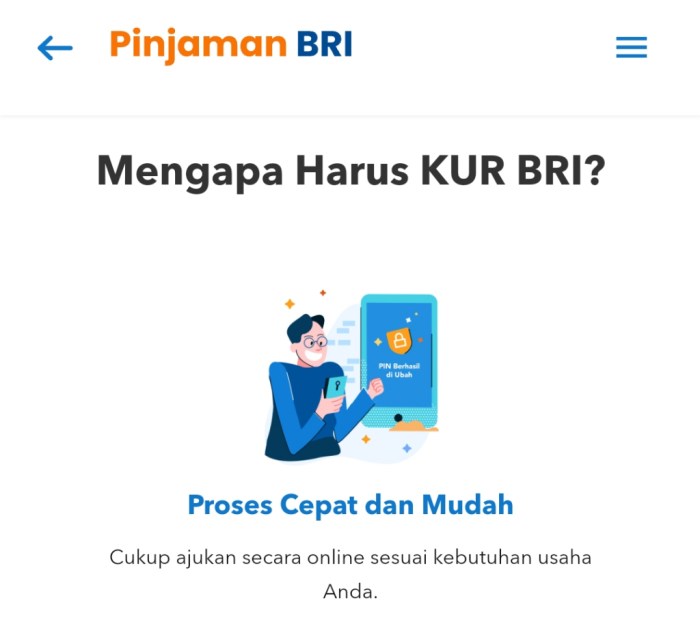 Bagaimana cara mengajukan pinjaman KUR BRI secara online