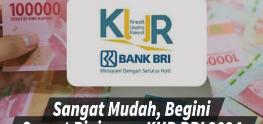 Informasi detail pinjaman bri 2024 untuk UMKM