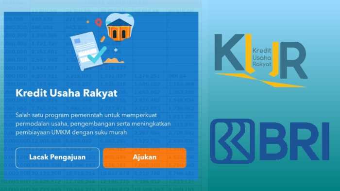 Bagaimana cara mengajukan pinjaman KUR BRI secara online