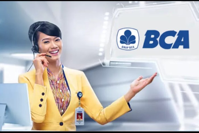 Berapa jumlah pinjaman online BCA langsung cair dengan KTP