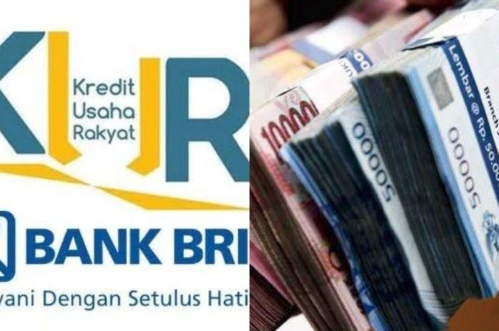 Review dan bandingkan pinjaman KUR BRI dengan pinjaman lain