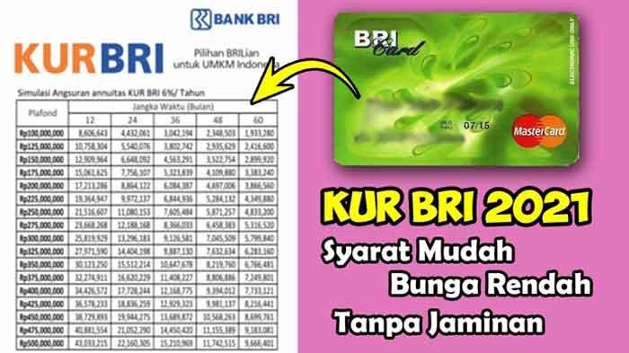 Pengertian debet dan kredit dalam transaksi pinjaman KUR BRI online