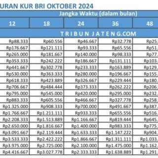 Prediksi dan informasi mengenai KUR BRI 2024 dan bunga